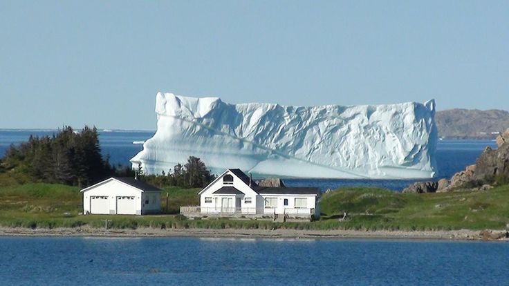 Twillingate icebergs